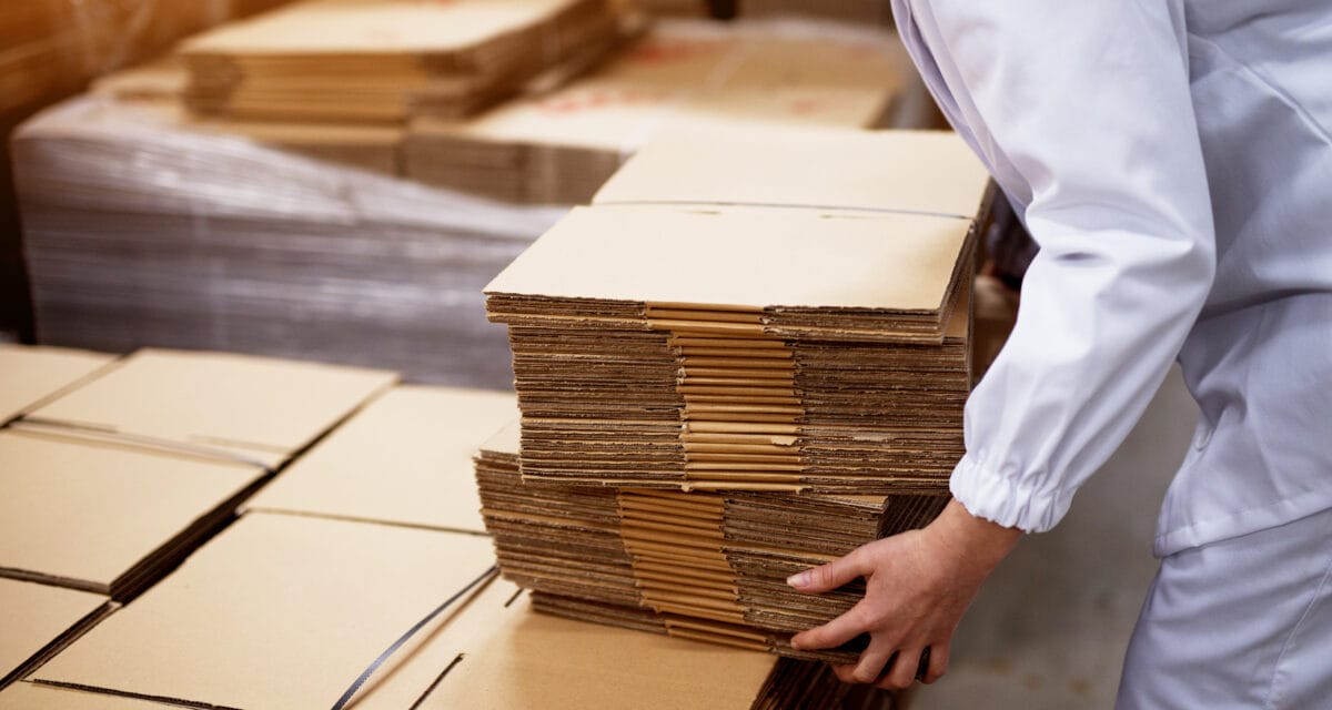 Cgf Box Scatolificio azienda leader per i pallbox