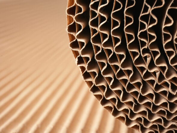 CGF Box Scatolificio Lombardia: un’azienda una storia