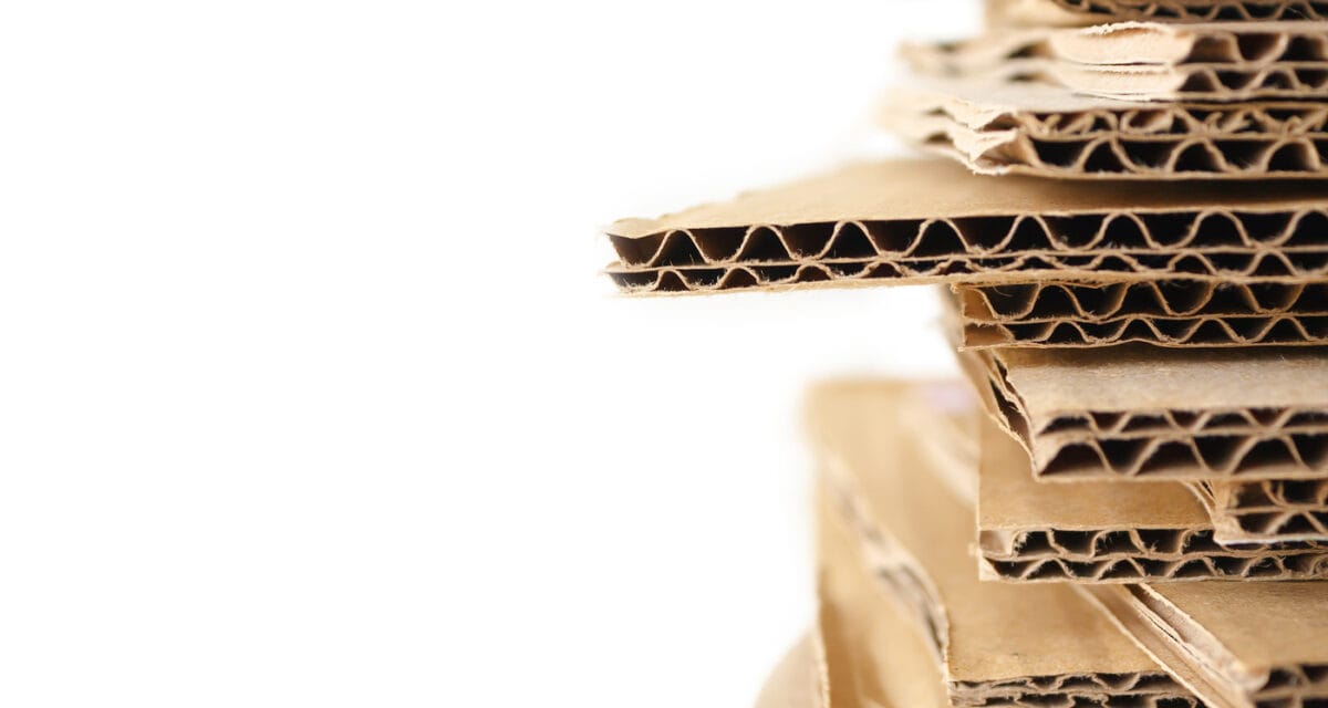 Scatolificio CGF Box: dalla progettazione alla produzione, il tuo partner per imballaggi perfetti