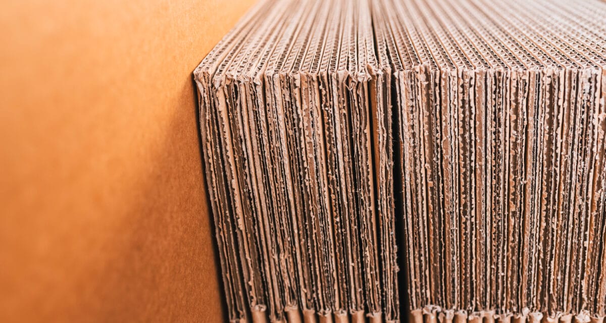 Produttore scatole di cartone: scopri la nostra vasta gamma di scatole e imballaggi per ogni settore